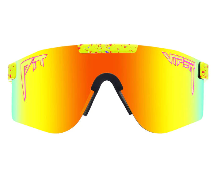 The 1993 Polarized