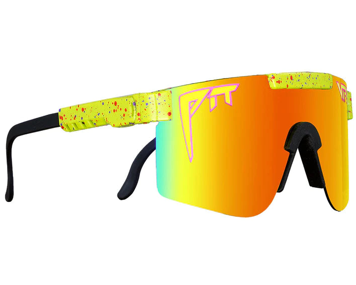 The 1993 Polarized