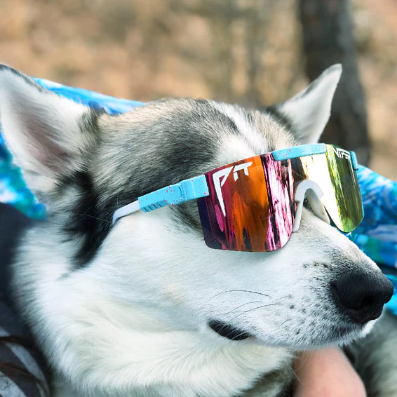 The Gobby Polarized